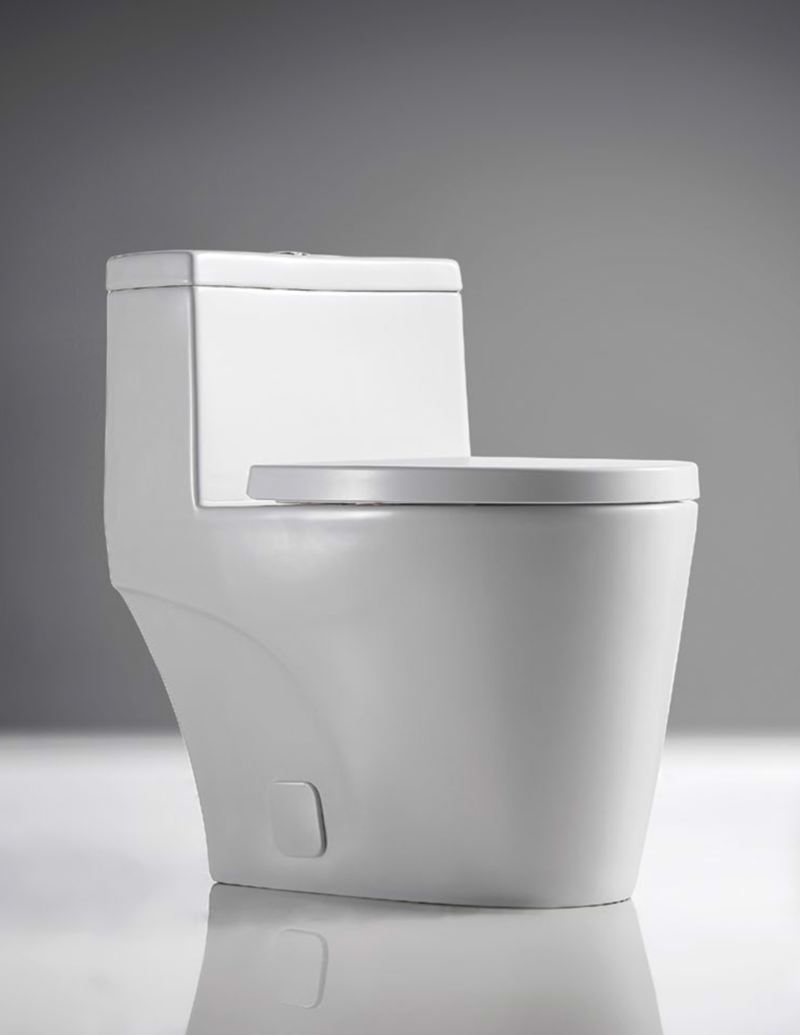 One-Piece Toilet